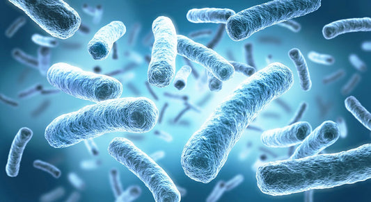 Legionellen - die unsichtbare Gefahr im Trinkwasser