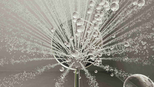 Duschkopf entkalken: Unsere Tipps & Tricks für eine gründliche Reinigung