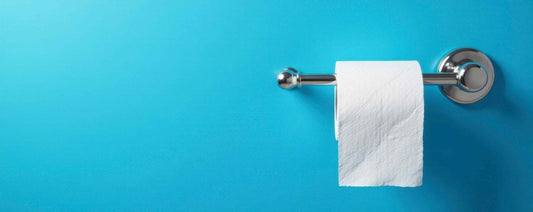 Toilettenpapierhalter ideale Höhe