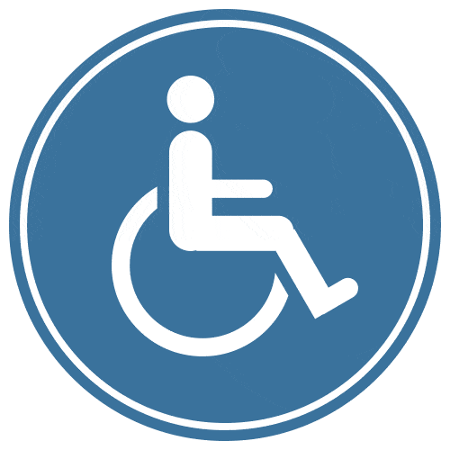 Icon_handicaped_inverse