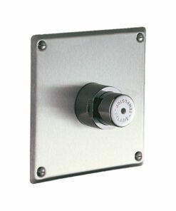 Delabie urinal flush valve