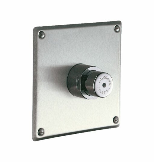Delabie urinal flush valve
