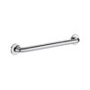 Barre d'appui Delabie 500mm inox brillant