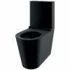 WC seat black