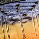 Acqua del soffione della doccia