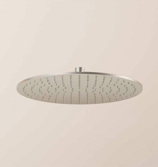 Stainless steel shower head